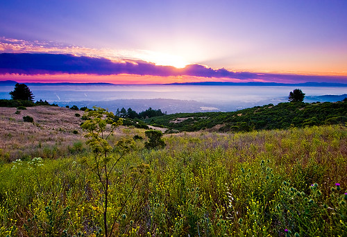 california skyline sunrise santacruzmountains windyhill 51372c