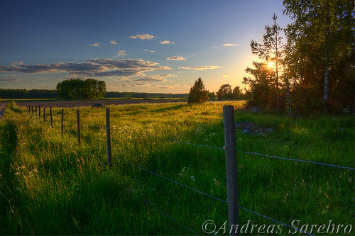 road trees sunset sky cloud sun green sol field grass stone fence pole barbwire hdr moln gräs