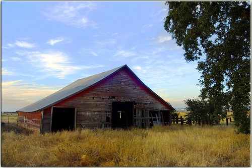 sunset abandoned grass barn nikon scenery norcal d200 tresspassing route65 sigma1530 lincolnca wowwhatalemon hereiwasallexcitedtopostthis iguessiknowwhomyrealfriendsare