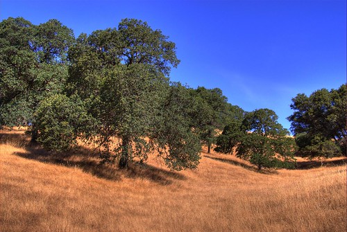 california blue trees sky foothills green grass meadow dry canyon hills drought cherokee featherriver oroville browm parched 200706