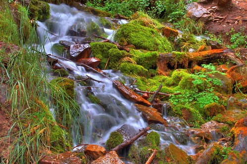 water creek spring hiking trail hdr hortoncreek