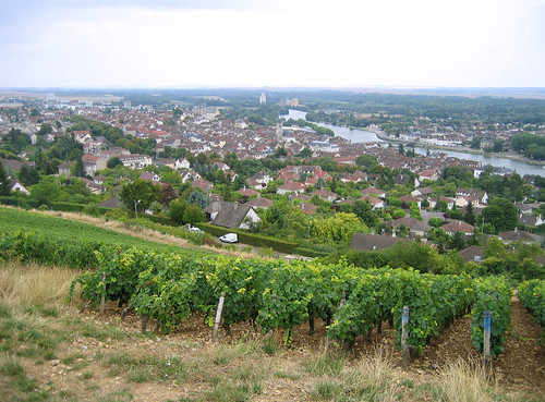 travel geotagged burgundy vineyards bourgogne joigny burgundyfrance geo:lat=47988887 geo:lon=3385677