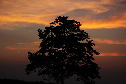 park county sunset sun lake west tree clouds martin indiana boggs loogootee daviess