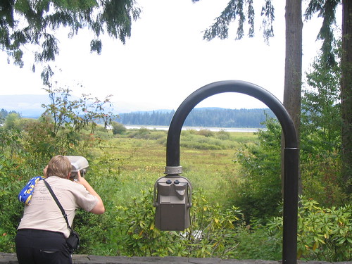 washington mountsthelens