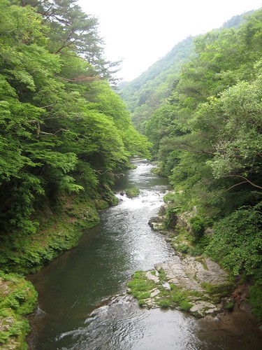 green river scenery valley gorge takase