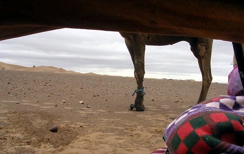 africa geotagged desert northafrica camel morocco cameltrek diningtent geo:lon=7844238 carpefeline geo:lat=29668963