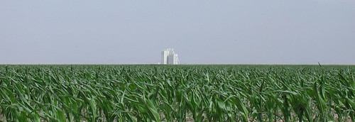 rural farm elevator grain kansas leoti