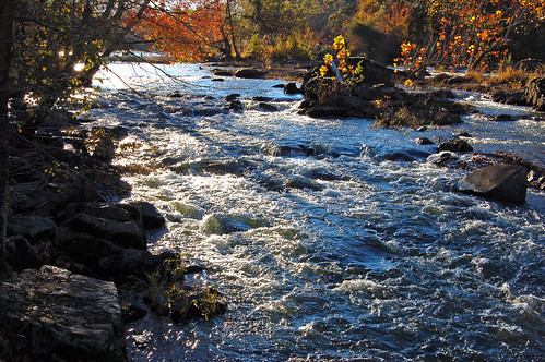 autumn usa fall water river virginia unitedstates petersburg rapids va rush appomattoxriver riffles petersburgcity