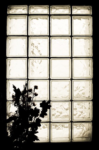 bw flower window silhouette backlight greece thessaloniki glassbricks explored karamanis