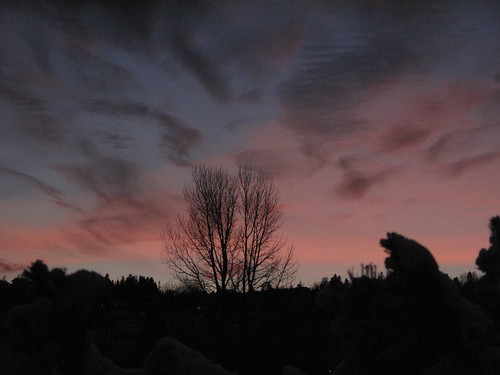 november sunset norway norge twilight skumring melhus tussmørke 1011090043 brekkåsen