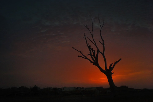 cameraphone morning pakistan sunset red sky tree clouds sunrise dawn bare phonecamera ahmed sind sindh muhammad redness w810 w810i mehrabpur treesubject