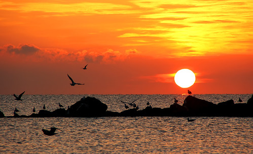 sea sun seagulls sunrise rocks mare alba sole rocce cor gabbiani tamron18200