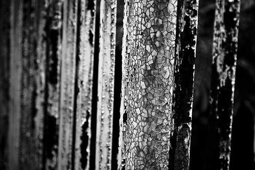 bw macro texture contrast death rust decay dying fallingapart bakerhotel i500 interestingness313 123bw mcmike mineralwellstx mmcmurr mikemcmurray ©conceptofproofphotography