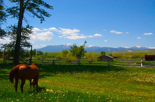 ranch d50 nikon montana deerlodge grantkohrsranch