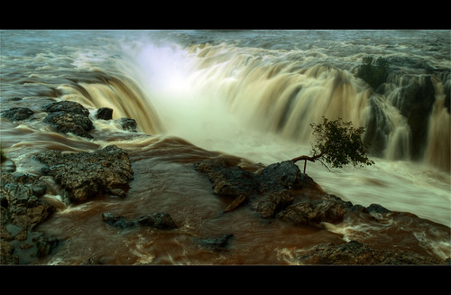india mist tree river rocks waterfalls solitary kaveri hogenakkalfalls cauveri