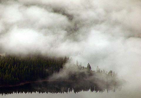 lake reflection aerial reservoir pines conifers mists grousepic