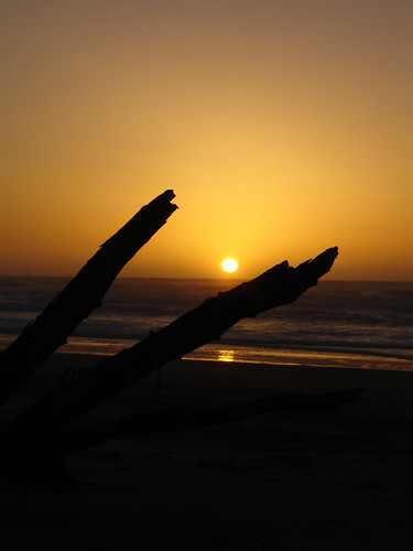 california wood sunset beach nature water landscape frame