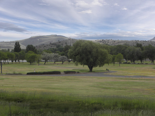 grass club golf lawn course
