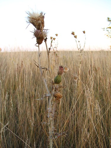 autumn fall colors canon thistle north sawyer dakota s3is