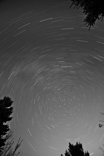 longexposure trees silhouette night wideangle 1022mm startrails polaris northstar