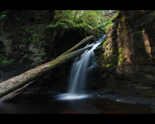 creek rainforest bc britishcolumbia vancouverisland waterfalls juandefucamarinetrail rainforesttours payzantfalls