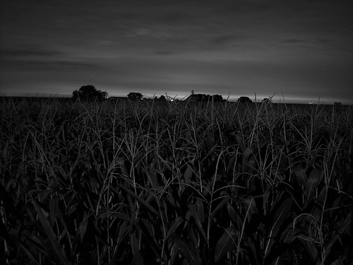 blackandwhite night clouds dark cornfield illinios grandridge