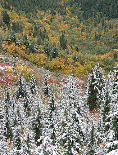 snow fall nature landscape scenic idaho benewahcounty
