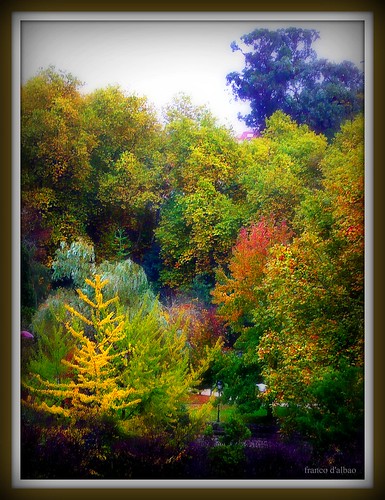 park wood parque autumn trees color colour window ventana lumix árboles view galicia bosque vista otoño vigo impresionism castrelos cromatismo leicalens dalbao francodalbao impresonismo