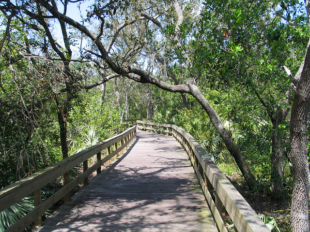 Turkey Creek, Florida | See my profile for licensing under t… | Flickr ...