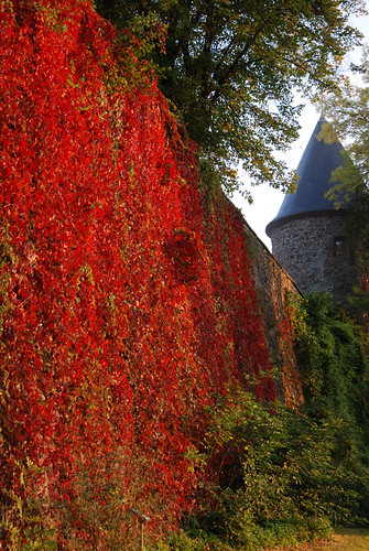 red tower leaves wall town wine medieval