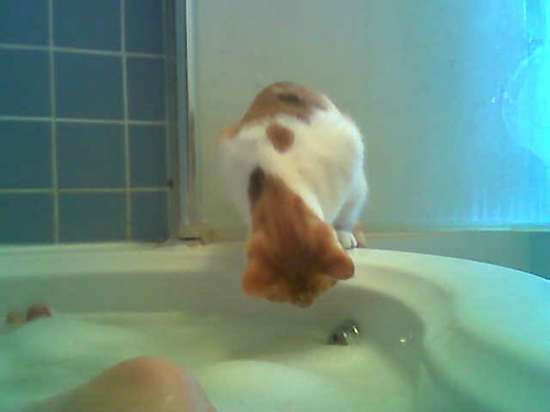 Saffron in the bath
