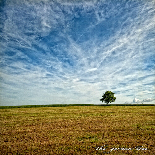 blue sky tree field clouds germany hessen german lonely rhön hesse allrightsreserved©sascharueb sash´skitchenstudiophotography