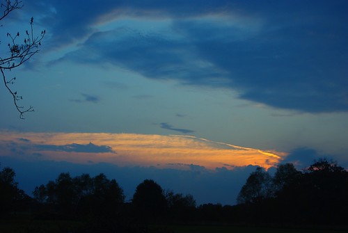 trees sunset clouds silhouettes vanburen arkansas