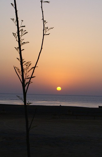 beach sunrise egypt getty instantfave megashot