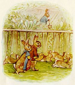 The Tale of Peter Rabbit 