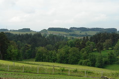 View of the A75