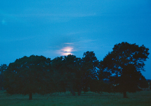 trees sky moon color film night clouds rural 35mm landscape geotagged photography photo texas wickdartsdesign ericwaisman