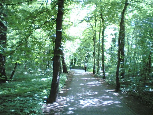 park natur grün brandenburg radweg lausitz badliebenwerda