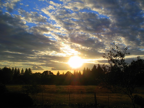 sunset field oregon silverton farm