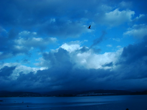 blue sea sky españa bird azul clouds catchycolors geotagged mar spain paisaje galicia cielo nubes lanscape pájaro sada catchycolorsblue eligetucolor mmbmrs geo:lat=4335417241474302 geo:lon=8254472960091533 ríadebetanzos