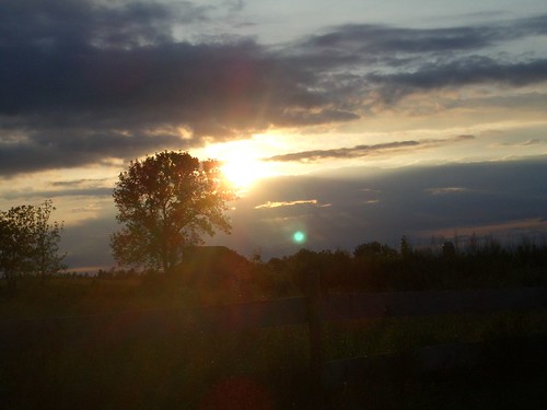 sun tree clouds farm