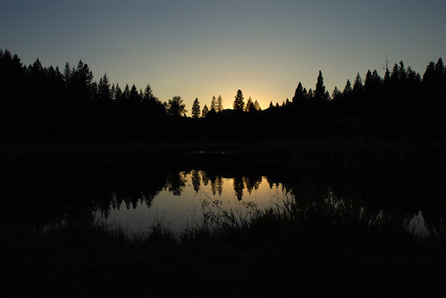 trees sunset silhouette pond montana dusk whitefish