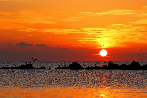 sea sun sunrise mare alba seagull sole gabbiani tamron18200 colorphotoaward