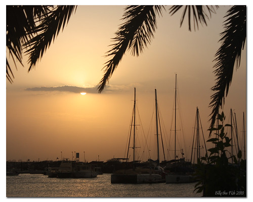 sunset sea water dubai sailing uae middleeast emirates jumeirah dosc billyfish magicunicornverybest