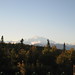 Mount McKinley far