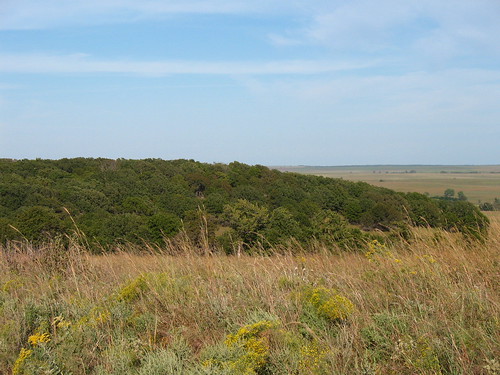 oklahoma natureconservancy tallgrassprairie osagecounty pawhuska