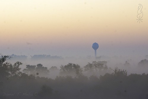 morning tower nature water beautiful fog forest landscape watertower commute bellechasse
