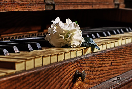 old flower piano fiore livorno 2010 pianoforte dedicatedphoto paololivorno paolobrunetti