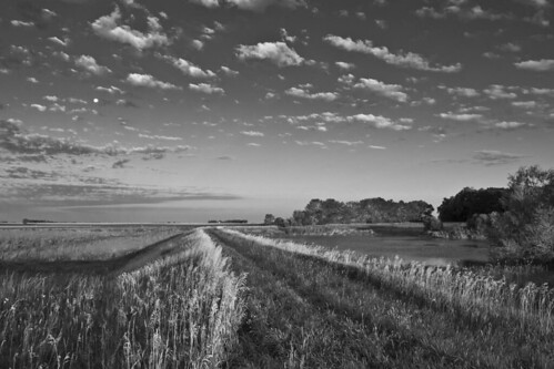 bw minnesota landscape utata prairie benson bigelow d90 meadowlarkfarm nikond90bw 201008roadtrip