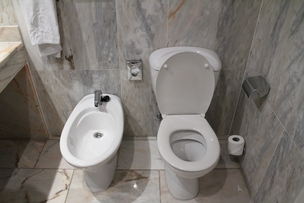 Напротив унитаза. Туалет с биде. Унитаз с подмыванием. Унитаз для подмывания для женщин. Биде в общественных туалетах.